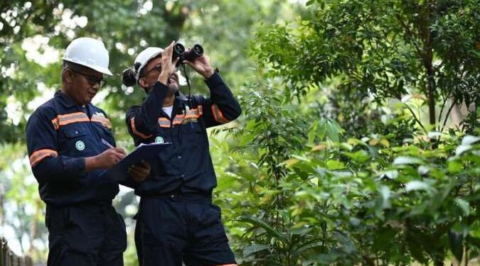 Peringati Hari Lingkungan Hidup Sedunia, Ini Program Berkelanjutan MIND.ID 1 MIND.ID