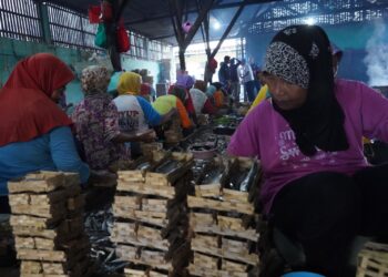 Ilustrasi usaha pemindangan