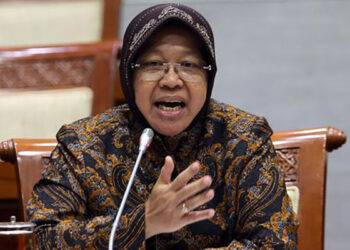 Mensos Tri Rismaharini