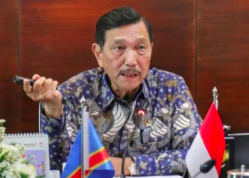 Luhut