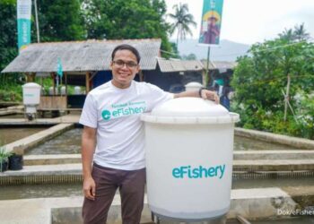 eFishery,