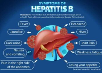 hepatitis B