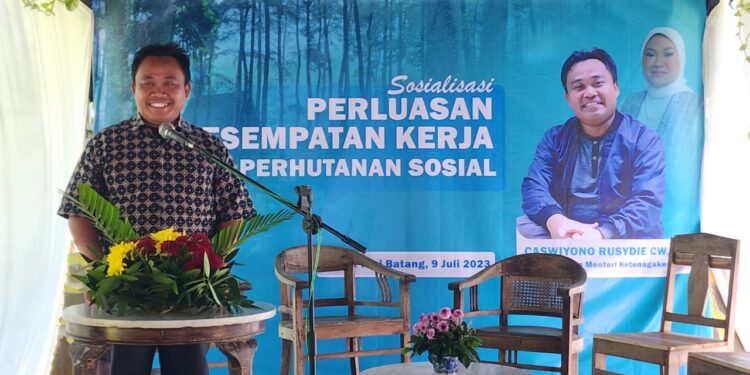 Kemnaker akan Tingkatkan Kompetensi Petani dan Pengelola Hutan lewat Pelatihan 1 Kemnaker akan Tingkatkan Kompetensi Petani dan Pengelola Hutan lewat Pelatihan