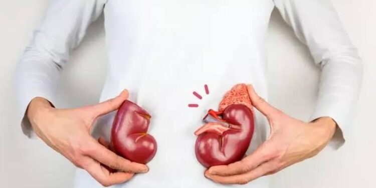 Awas Kebiasaan Ini  Dapat Merusak Ginjal