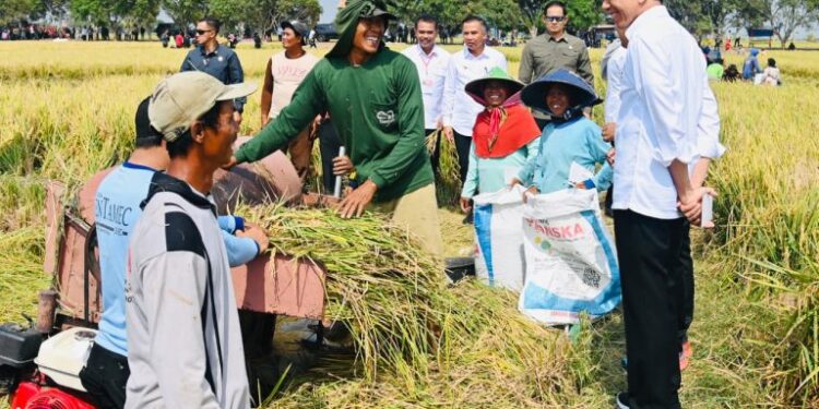 Panen Raya