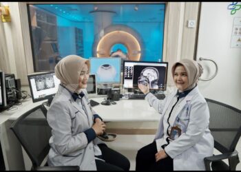 Indonesia Healthcare Corporation (IHC)