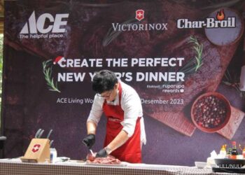 PT ACE Hardware Indonesia Tbk