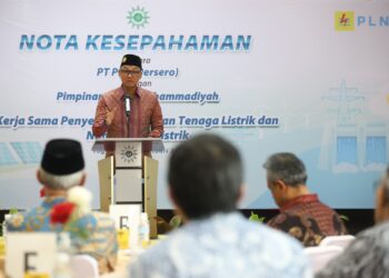 PLN