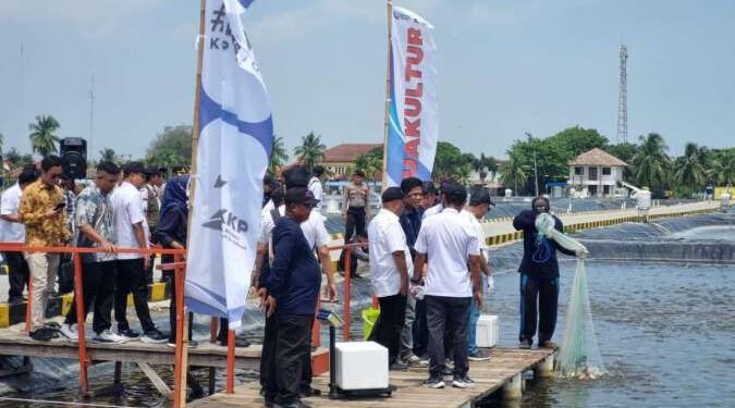 Menteri KKP Bersama eFishery Tinjau Keberlangsungan Budidaya Nila Salin di Karawang 1 eFishery,