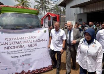 kopi indonesia