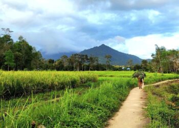 Desa Wisata