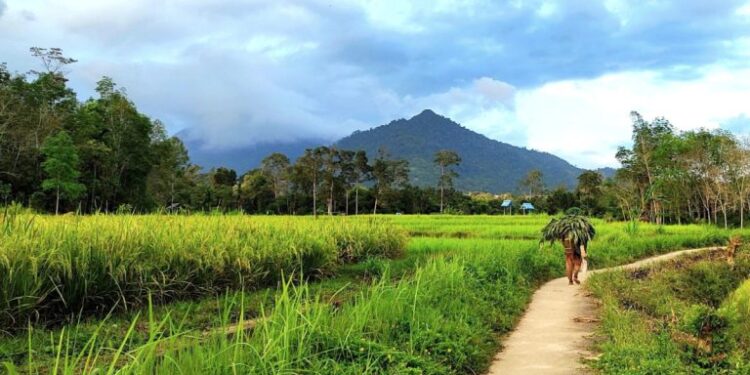 Desa Wisata