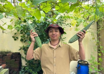 Hobi Berkebun? Simak Tips Berikut Ini