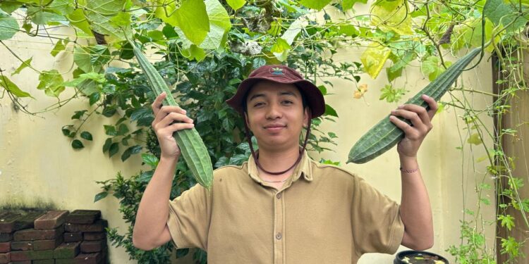 Hobi Berkebun? Simak Tips Berikut Ini