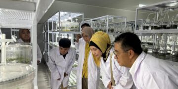 Stafsus Presiden Billy Mambrasar Luncurkan Program Petani Milenial Kaltim untuk  Ketahanan Pangan IKN, Gandeng Kepala BPSDM Kementan dan Pj. Gubernur Kaltim