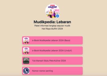 Mudikpedia
