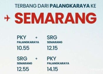 lion air