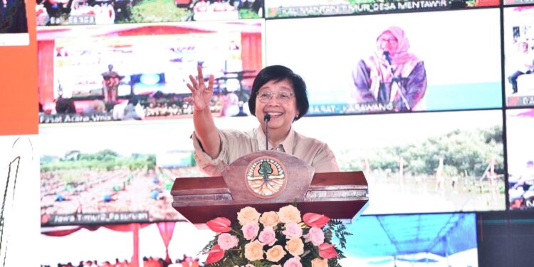 Mengembalikan Keseimbangan Alam: Langkah-Langkah Jangka Panjang dalam Pemulihan Lingkungan Hidup Indonesia