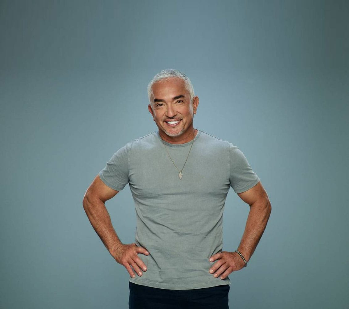 IMG 20240518 WA0008 - Pet Fest Indonesia: Festival Khusus Penggemar Hewan Peliharaan Hadirkan Cesar Millan