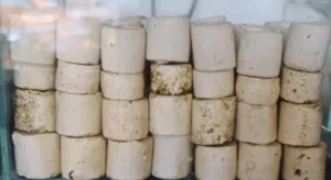 Media FIlter Bioring scaled 1 - Cara Memaksimalkan Susunan Media Filter Aquarium Agar Air Jernih