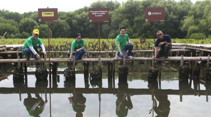 Zurich bersama Adira Finance Dorong Upaya Pelestarian Habitat Mangrove di Angke Kapuk 1 Zurich Indonesia