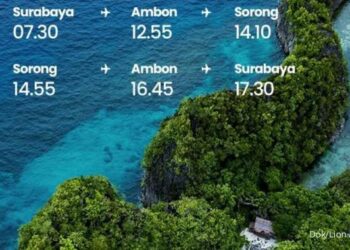 lion air