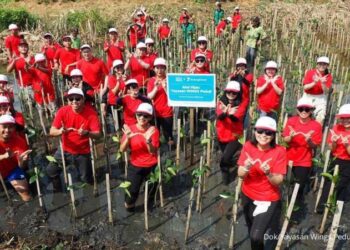 Yayasan WINGS Peduli