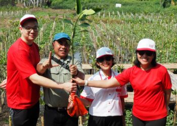 Yayasan WINGS Peduli