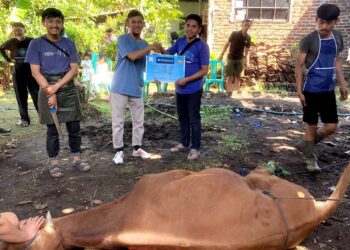 Dengan Semangat Berbagi, Didimax Group berbagi 10 Sapi Kurban di Idul Adha 2024