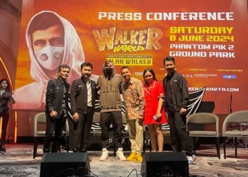 alan walker