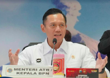 Mafia Tanah