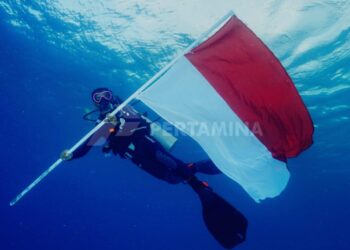 Pertamina Group