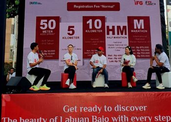 Indonesia Financial Group (IFG)