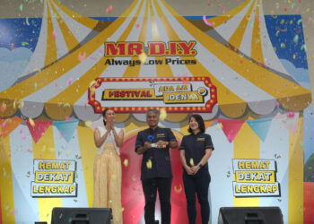 Mr. D.I.Y