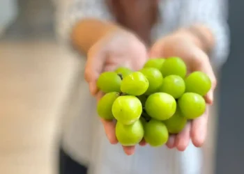 Anggur Shine Muscat