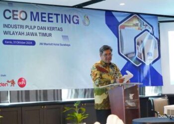 Industri Pulp