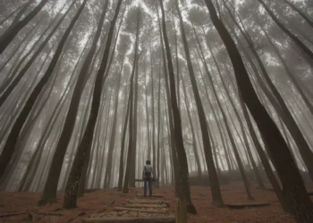 5 Destinasi Wisata yang Jadi Lokasi Syuting Film Horor 8 Film Horor