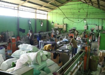 Berkat Dana Bergulir dari Koperasi, Rotan Sintetis Asal Cirebon Tembus Pasar Ekspor