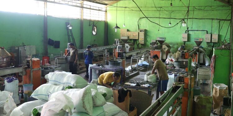 Berkat Dana Bergulir dari Koperasi, Rotan Sintetis Asal Cirebon Tembus Pasar Ekspor