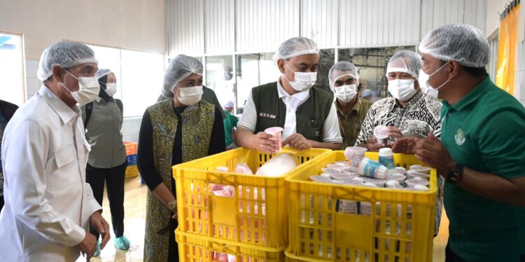 LPDB-KUMKM Dukung Program Makan Bergizi Gratis