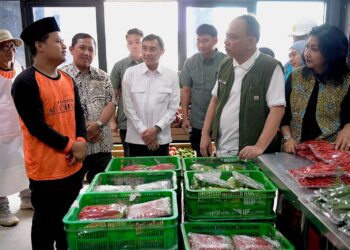 Dukung Program Makan Bergizi Gratis, LPDB-KUMKM Perkuat Permodalan Koperasi Produktif
