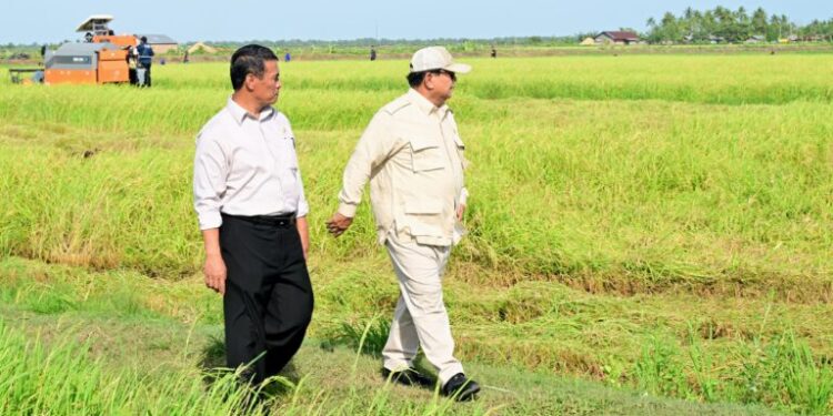 Mentan Amran: Pemerintah Naikkan HPP Gabah dan Siap Hadapi Mafia Beras Demi Lindungi Petani 1 Panen Padi