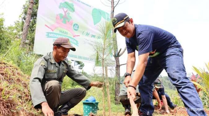 Musim Tanam2024, Perhutani Tanam 24 Juta Pohon Perluas Puluhan Ribu Hektar Lahan Hijau 1 Perhutani