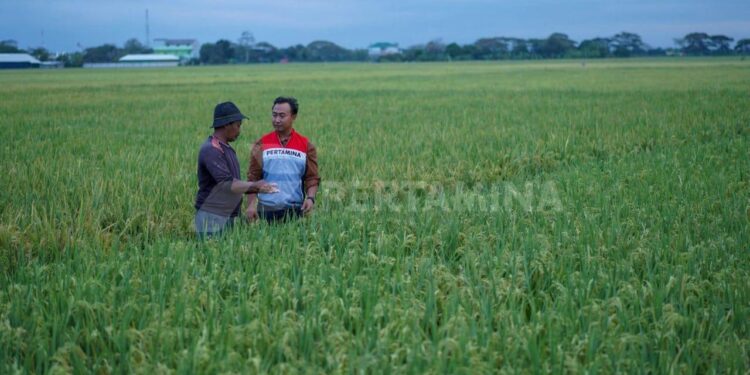 pertamina