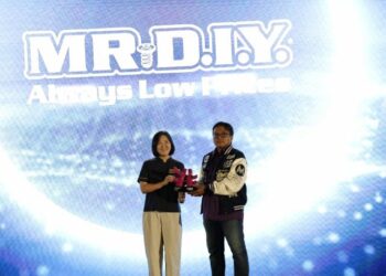 MR. D.I.Y