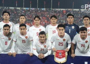 TIMNAS INDONESIA