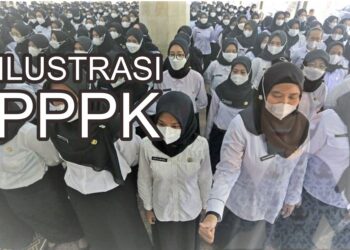 pppk
