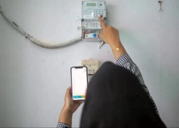 PLN