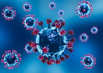 Penyakit Human Metapneumovirus (HMPV) Terdeteksi di Indonesia, Waspadai Influenza Juga! 1 hmpv