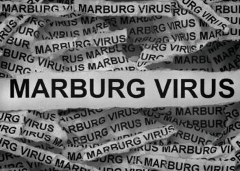 marburg